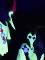 Lionking 0022